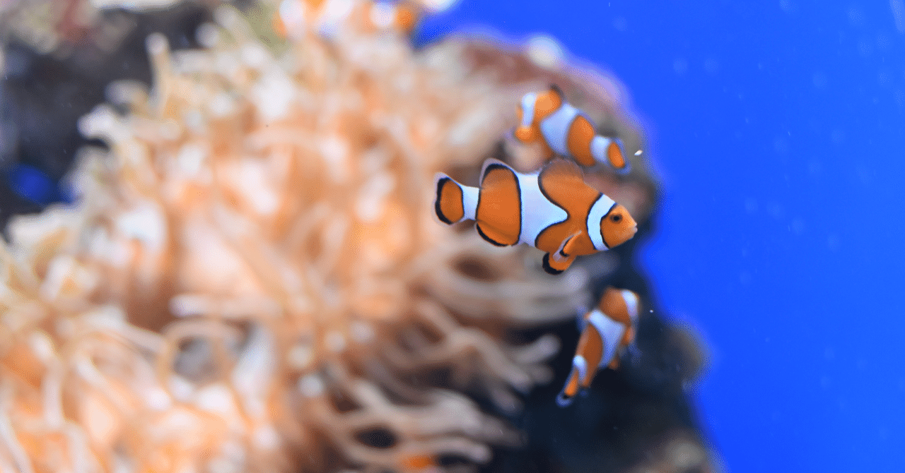 年3月1日 12時に みんなのオンライン水族館 を開館します ありぺい Note
