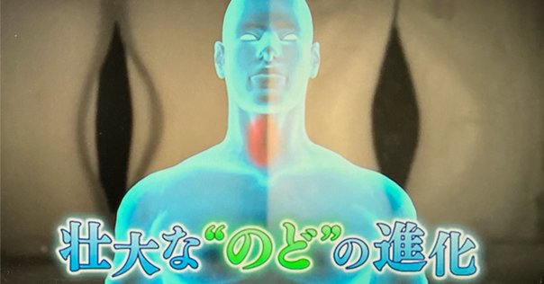 歌うネアンデルタール 音楽と言語から見るヒトの進化 Amazon.co.jp: 歌うネアンデルタール: 音楽と言語から見るヒトの