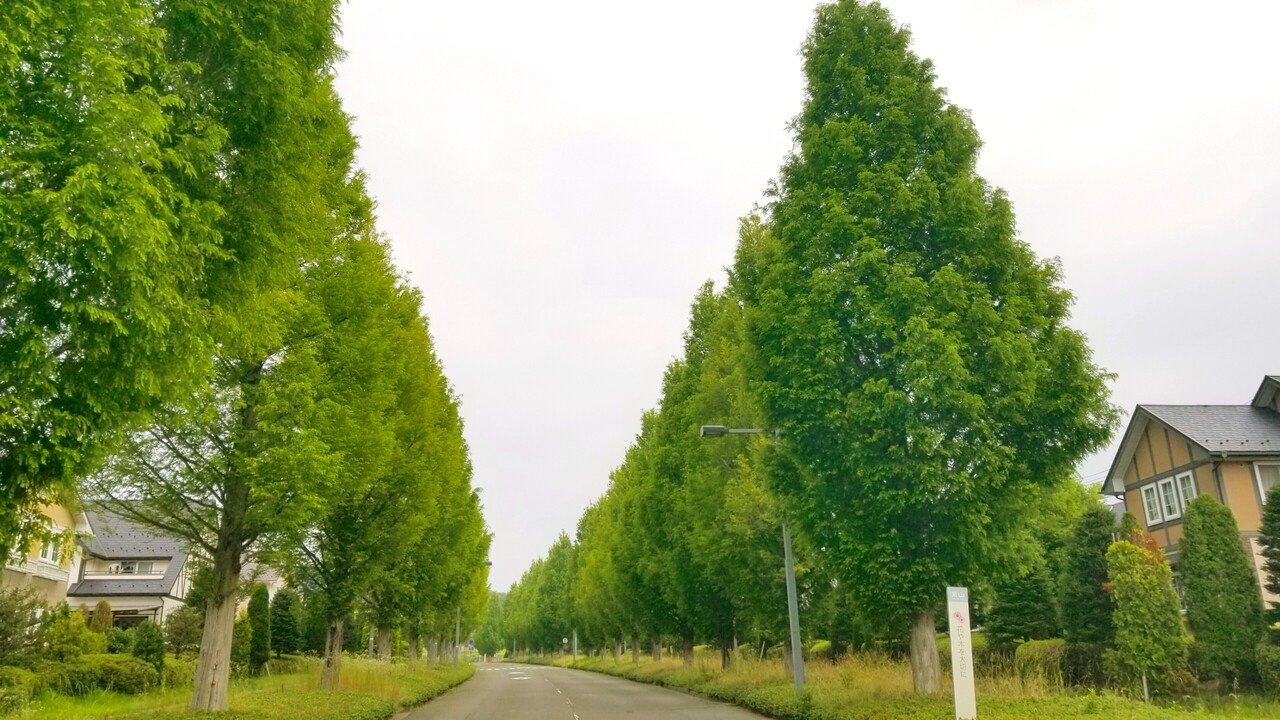 村山雨景　メタセコイア並木　染色 20131116122450.jpg