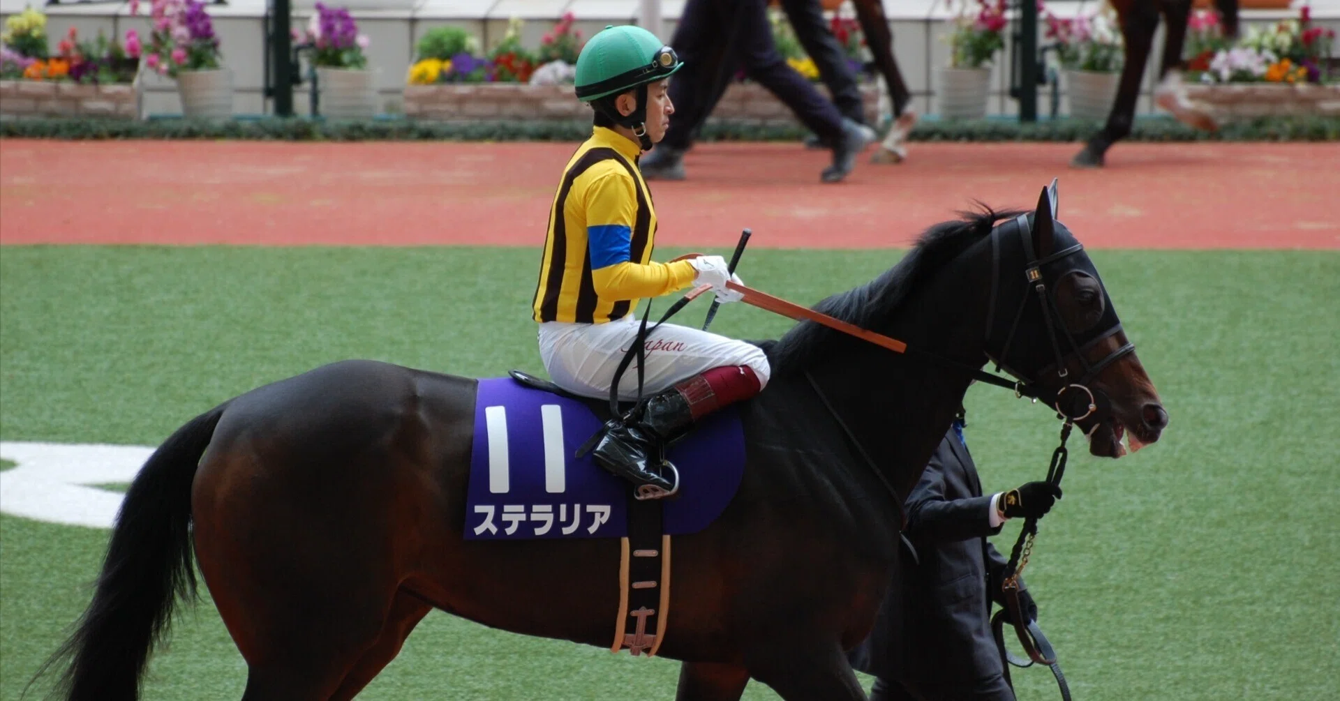 社台サラブレッドクラブ 2025募集馬(2024年産)AI馬体診断｜Koji Maeda