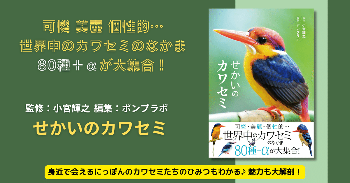 魅惑のカワセミ大図鑑！世界の80種＋αが大集合『せかいの