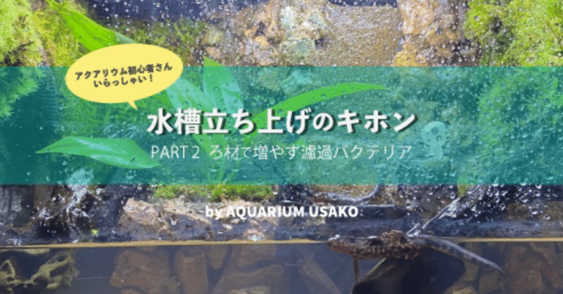 水槽立ち上げのキホン ろ材で増やす濾過バクテリア うさこ Aquarium Note