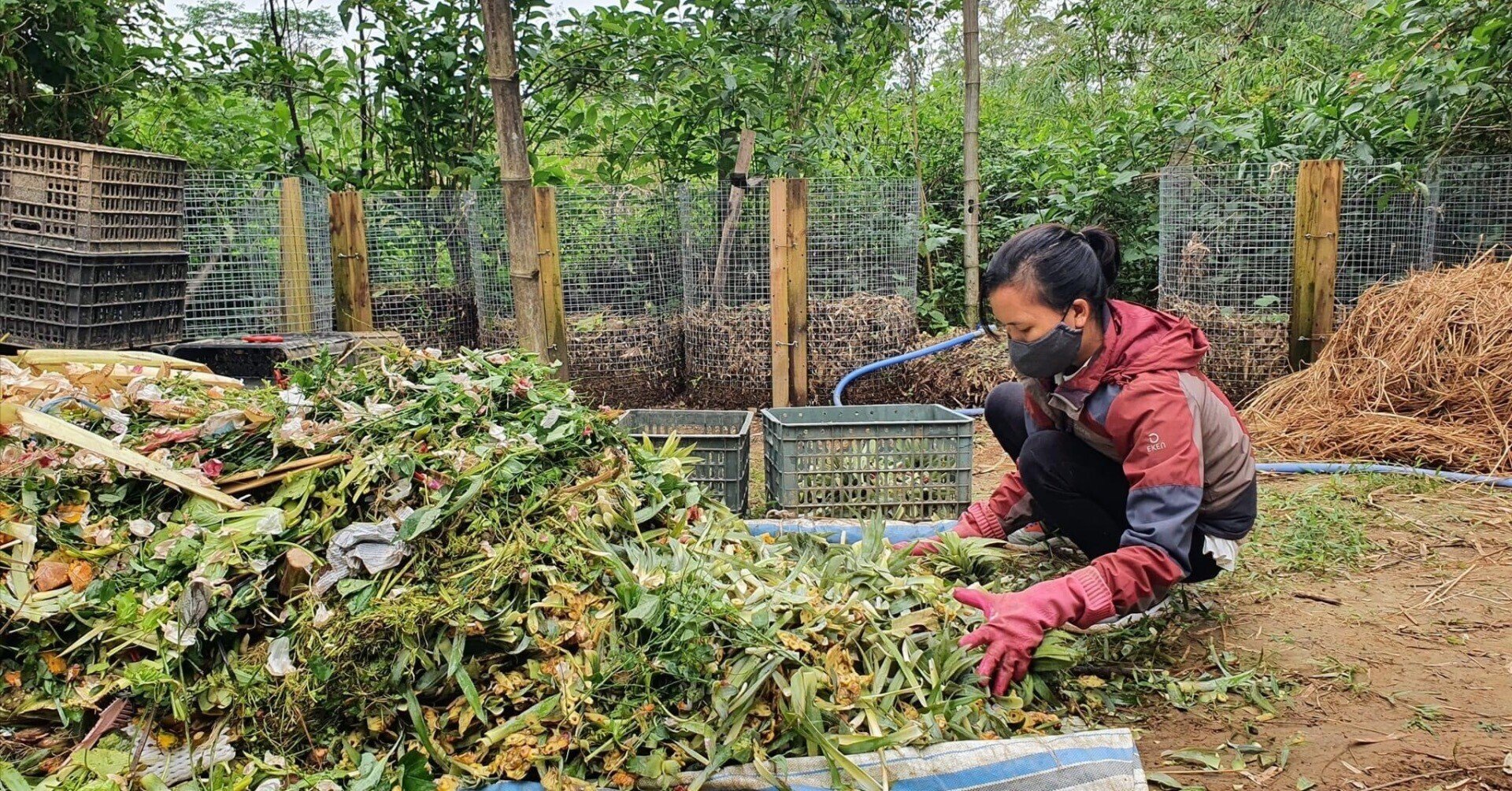 定番人気，100%新品 西アフリカ・サヘルの砂漠化に挑む?ごみ活用による