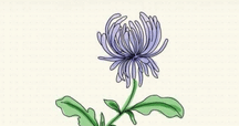 母からの手習いで｜野に咲く花、そして空想の花。Floreisenの