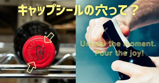 自作　コラヴァンアダプターセット(Coravin) ランニングコストを下げる 業務用】コラヴァンアダプターの自主制作によるアルゴンガス代の