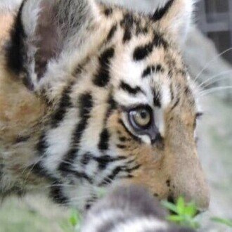 ただっち@未経験の回廊