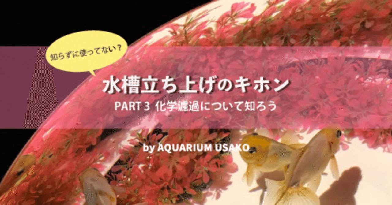 水槽立ち上げのキホン 化学濾過について知ろう うさこ Aquarium Note