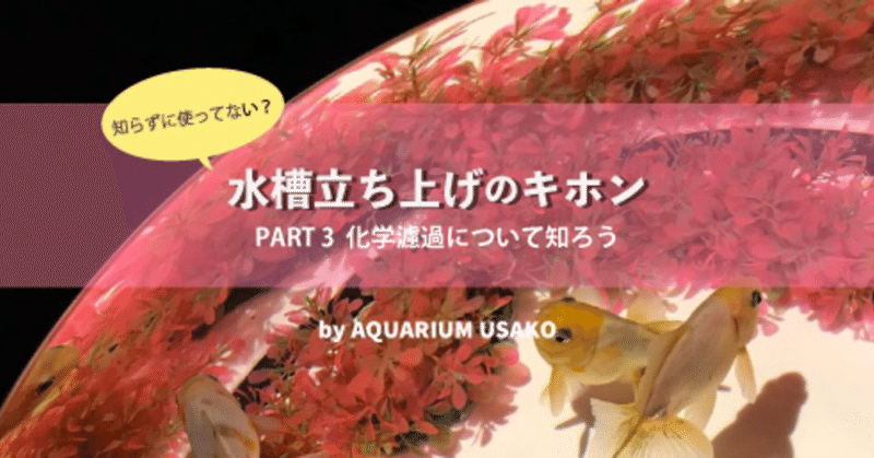 水槽立ち上げのキホン 化学濾過について知ろう うさこ Aquarium Note