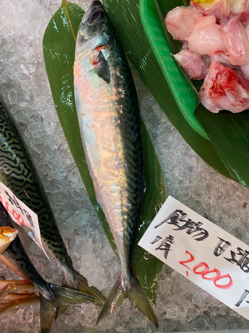 鯖の日に備えて|石川鯖右衛門