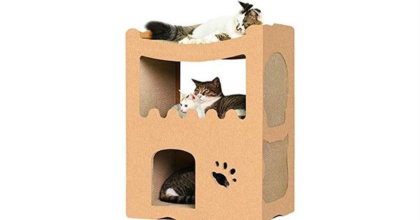 インテリアとしてもインパクト抜群！三日月型のかわいすぎる猫