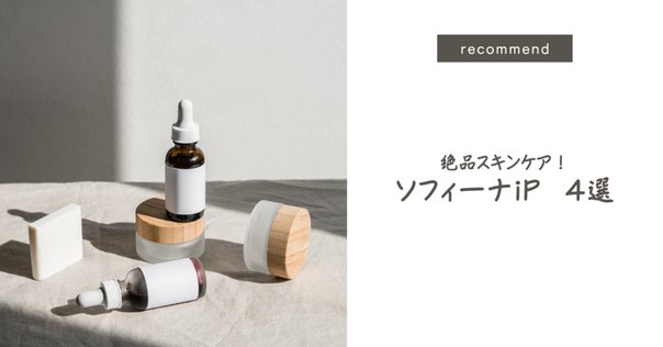 【サキナビジュー】説明書付　動作確認済み サキナビジューの使用方法のご紹介｜サキナはじめました@記録用