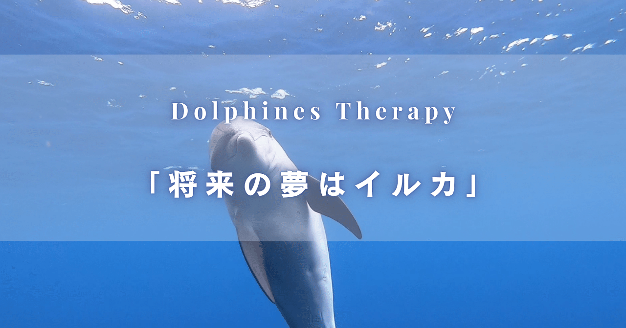 群青イルカ◆自己紹介参照 Into the Blue御蔵島 スペシャルトリップ イルカの群れが半端