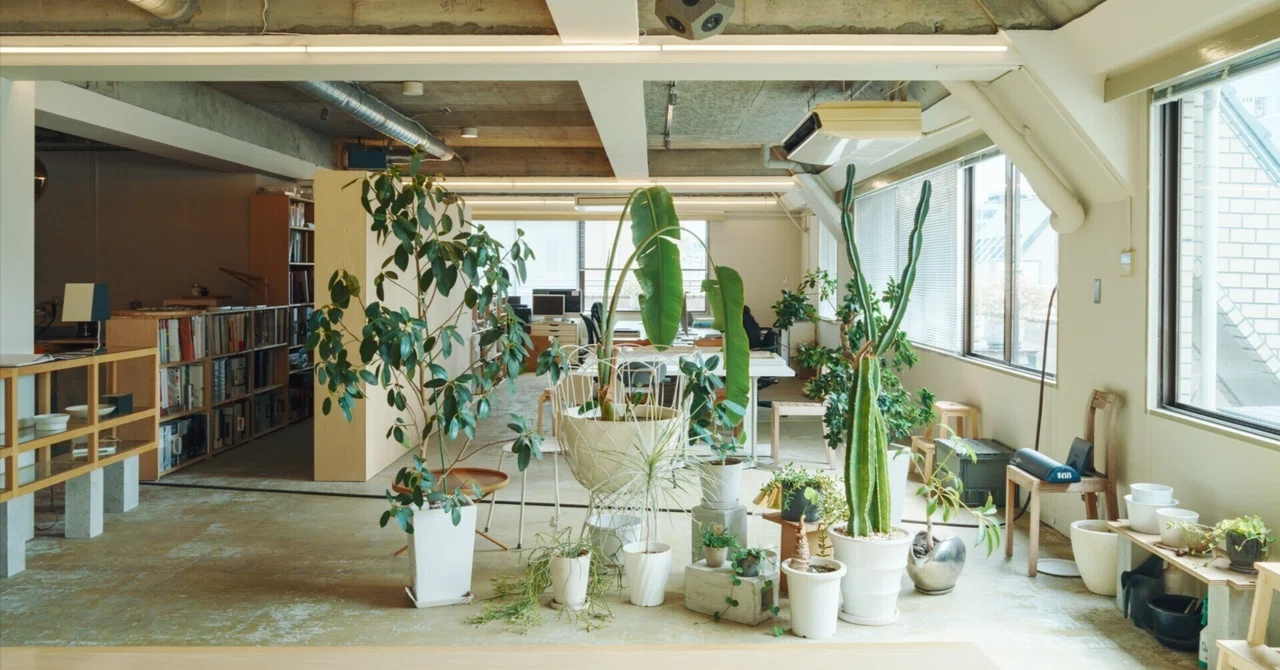 Spotlight] Discovering NAGI: The Plant Shop That Prioritizes Tree 