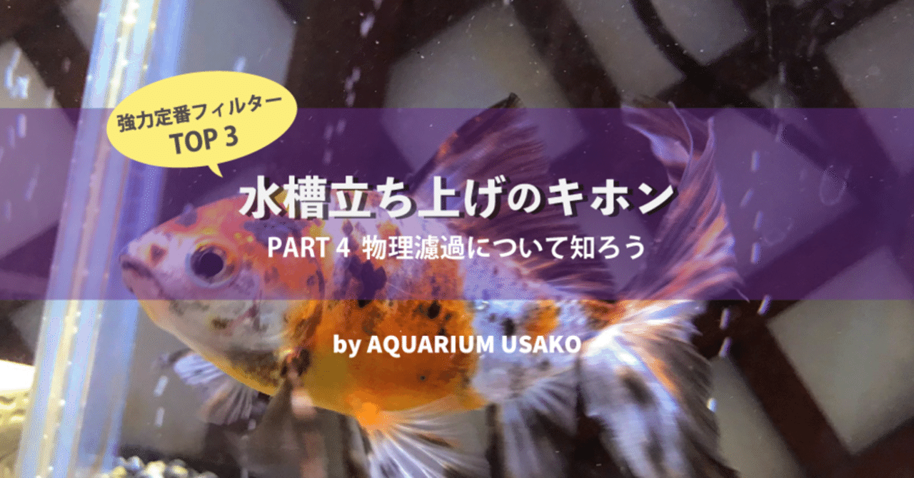 水槽立ち上げのキホン 物理濾過について知ろう うさこ Aquarium Note
