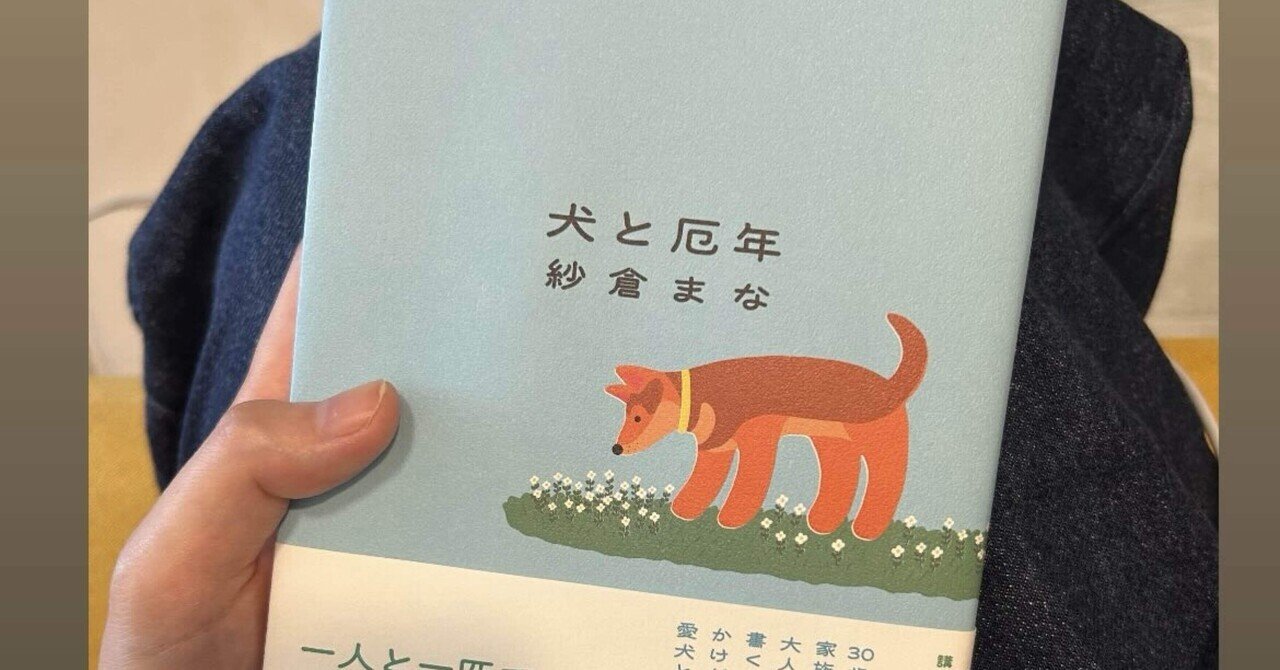 わたしたちに許された特別な時間の終わり 岡田利規 わたしたちに許された特別な時間の終わり(岡田利規 著) / 古本