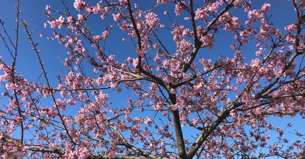 縮こまる話 ケンちゃん Note 縮こまる話 ケンちゃん Note