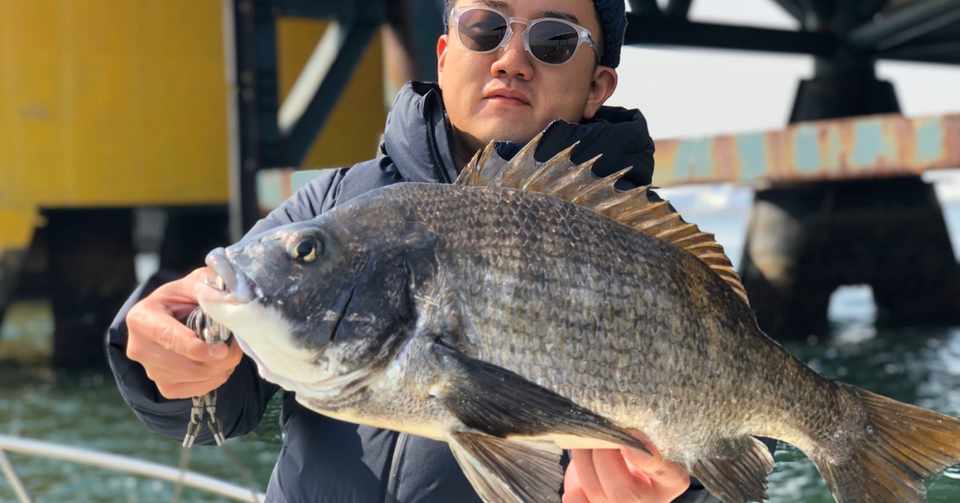 2月29日 土 シーバス午後便釣果 74センチ登場 Bayworkstokyofishing Note