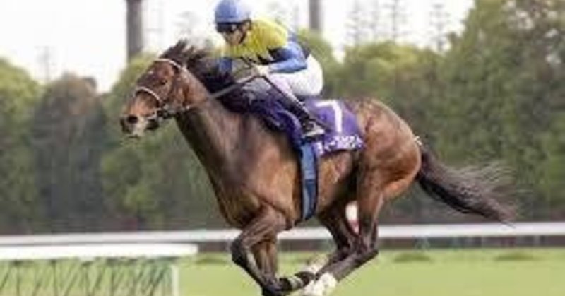 弥生賞ディープインパクト記念 中山競馬場 芝2000m ゆずマンの夏 Note