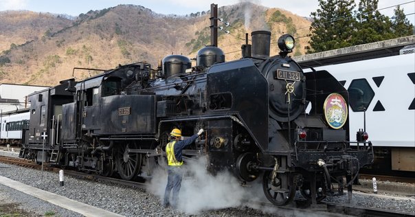 国鉄 Oha61 エコノミークラス客車 ブラウン 国鉄 Oha61 エコノミークラス客車 ブラウン