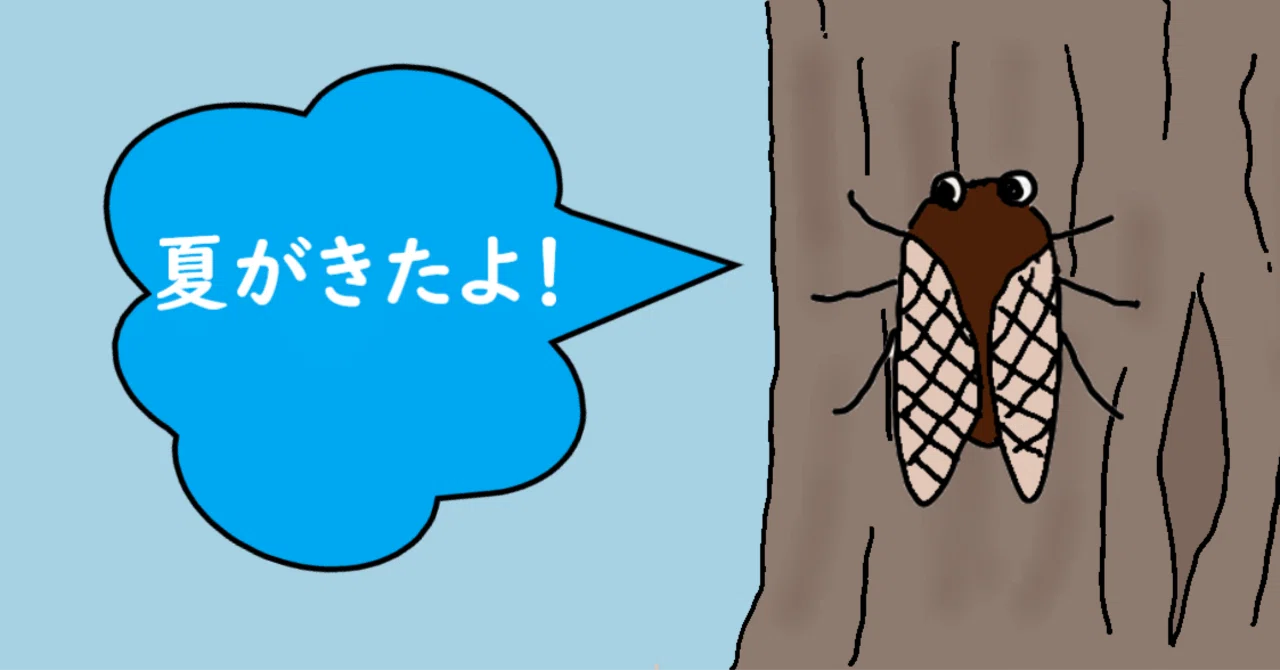 セミ が いない