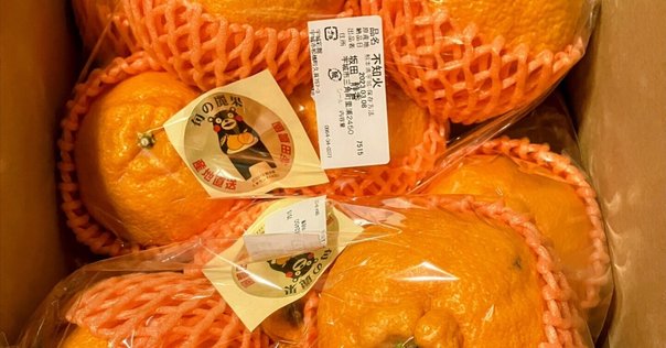 せとか、はるみ、不知火15キロ せとか、はるみ、不知火15キロ 柑橘類 【業務用食材の仕入れなら