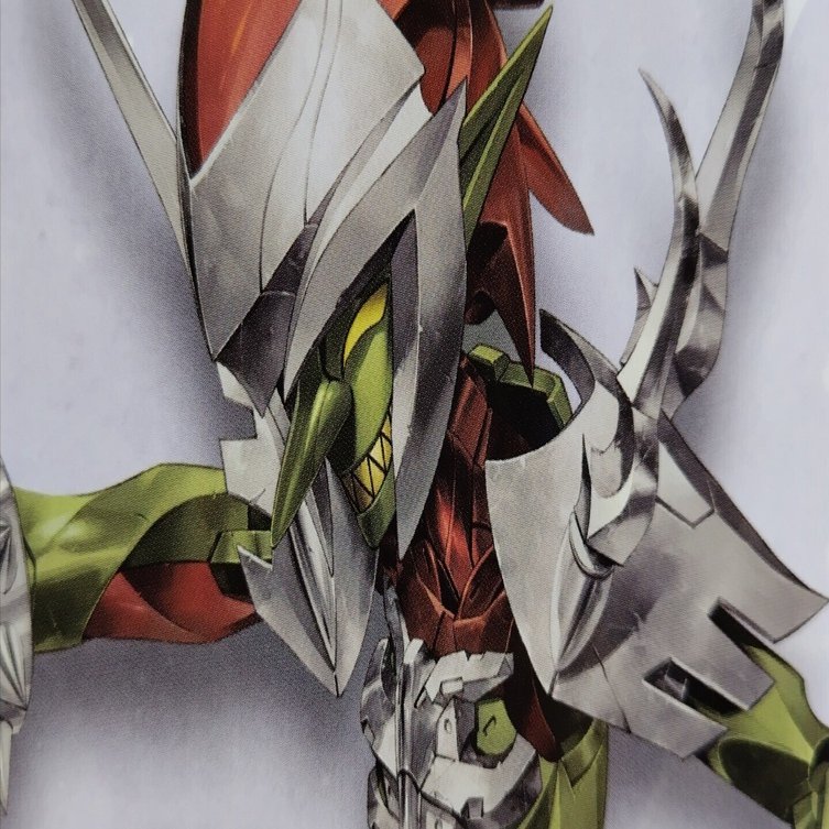 メガロマリア グリンドール開封＆軽めのレビュー ｜サコウ【頼光ママ友会】