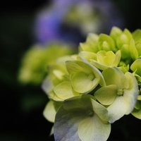 笑えない話 モーニング娘 14 しちみ Note