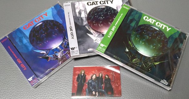 新品未使用 レコード〔 カネコアヤノ - ラッキー / さびしくない 〕 ラッキー/さびしくない | FRIENDSHIP.