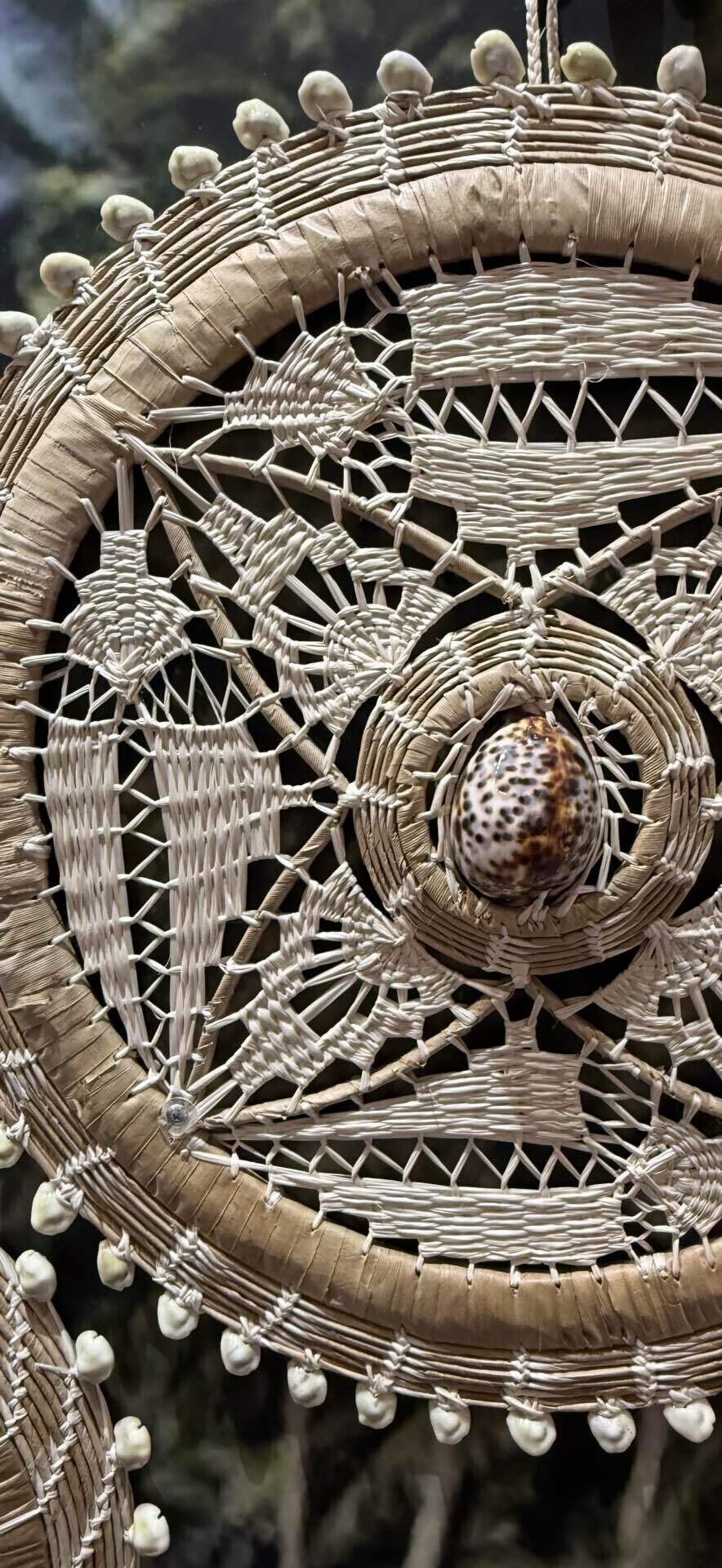 EXPO 2025 『マーシャル諸島共和国』 大阪関西万博に見る植物