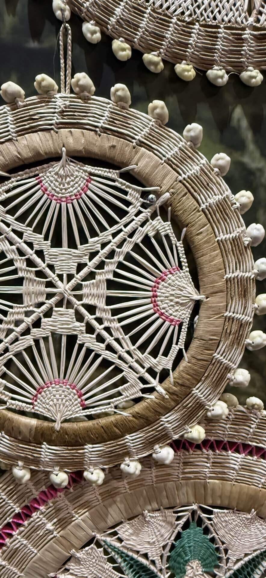 EXPO 2025 『マーシャル諸島共和国』 大阪関西万博に見る植物