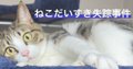 ねこだいすき失踪事件