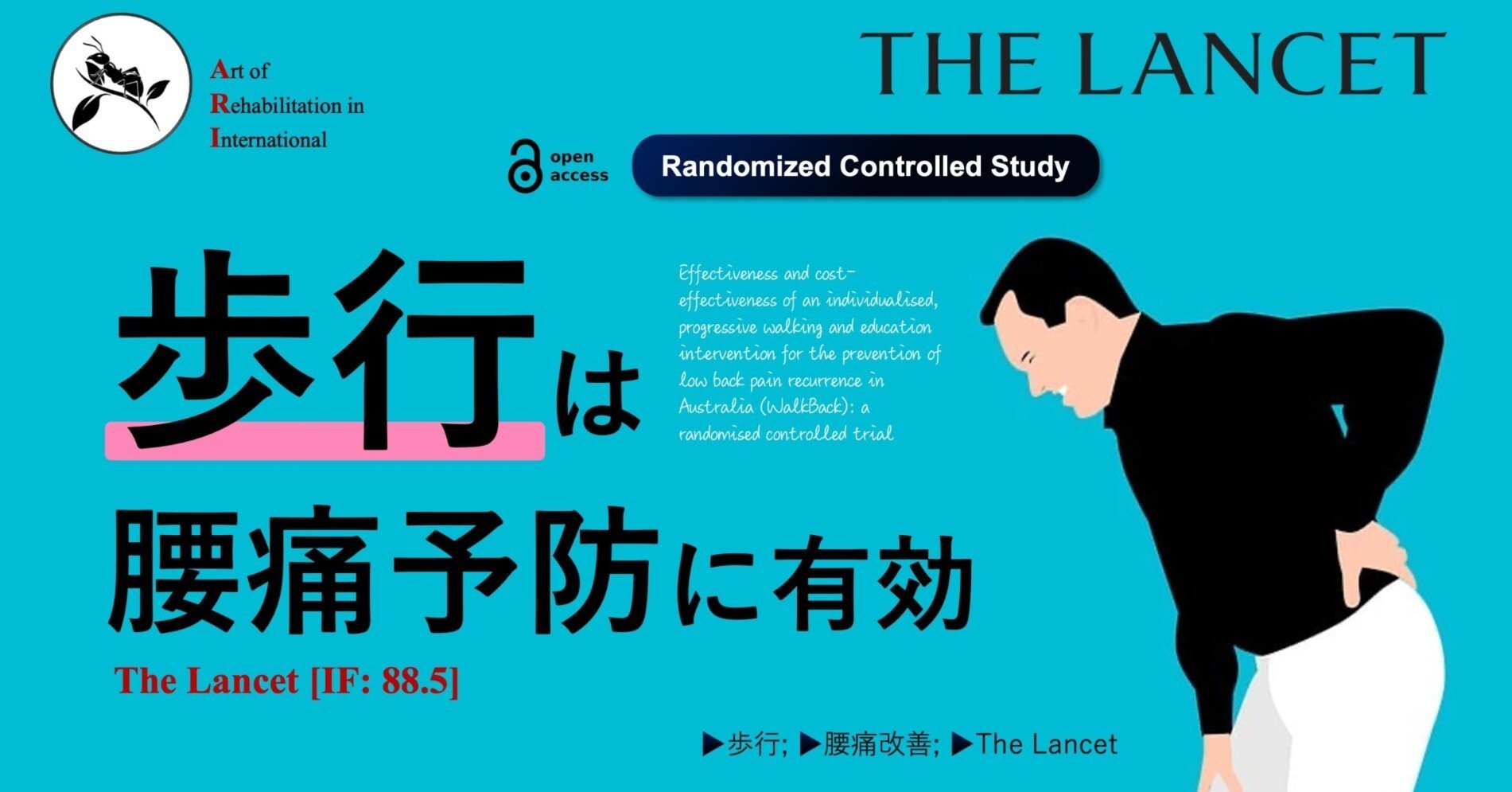 腰痛症に対する理学療法評価 非特異的腰痛の評価と運動療法： | 理学療法士・作業療法士