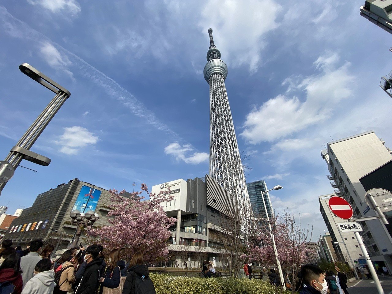 押上 東武橋の河津桜を撮ろう 天野うずめ A K A いたずら黒うずめ Note 押上 東武橋の河津桜を撮ろう 天野うずめ A K A いたずら黒うずめ Note