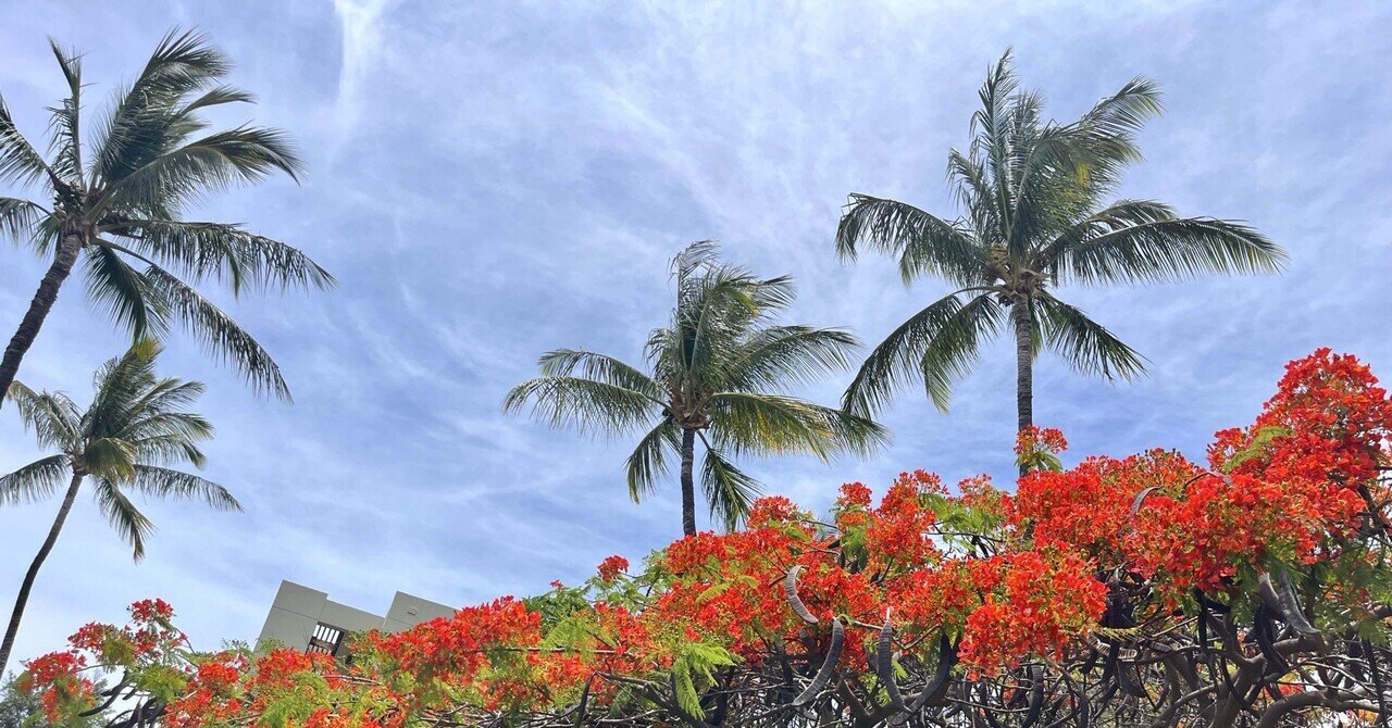 わたしのホ・オポノポノライフ｜Aloha♡マインドセット