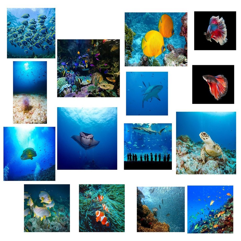 フォトバッシュ広め中デザイナー ユウトモ ゆっさん Note