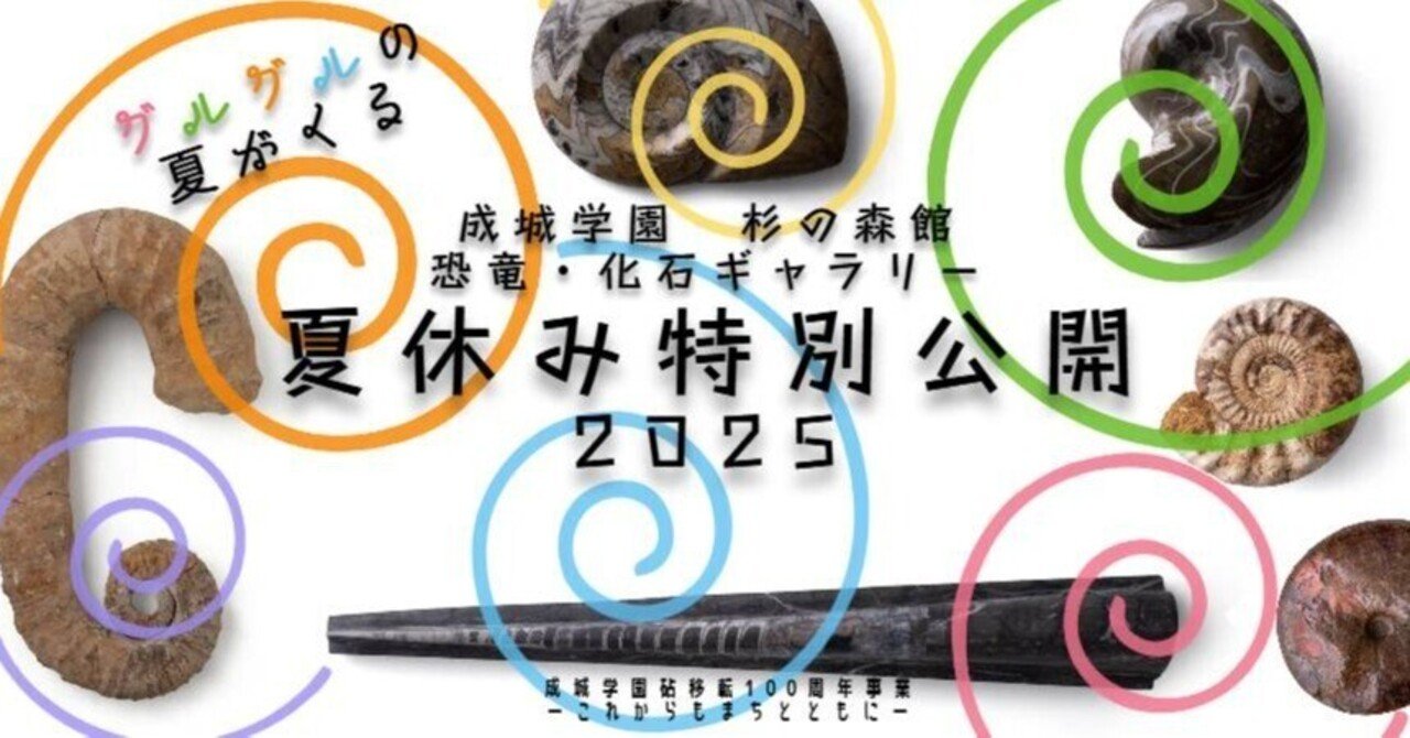 恐竜日記】グルグルの夏が来る。今年の主役はアンモナイト｜成城学園