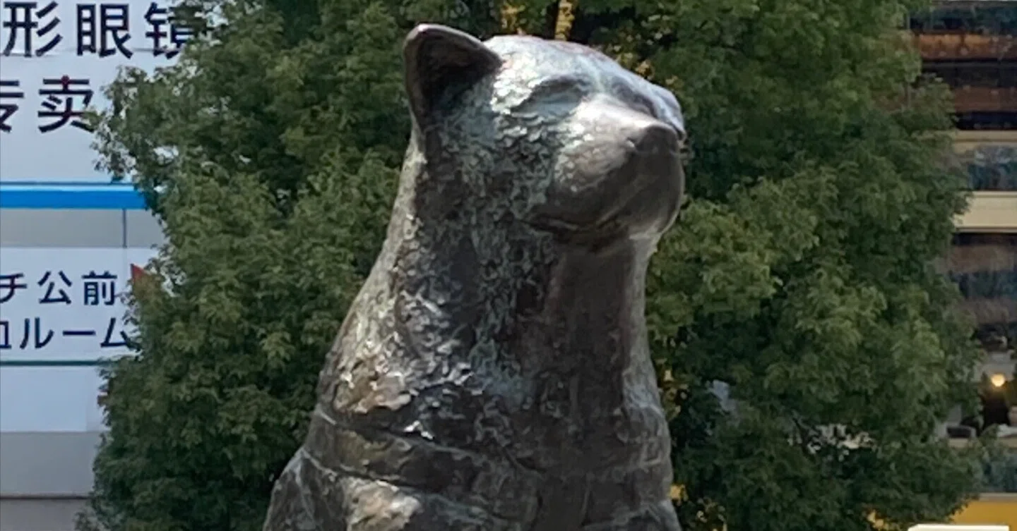 🐾32 Shibuya Hachiko Statue｜mimi