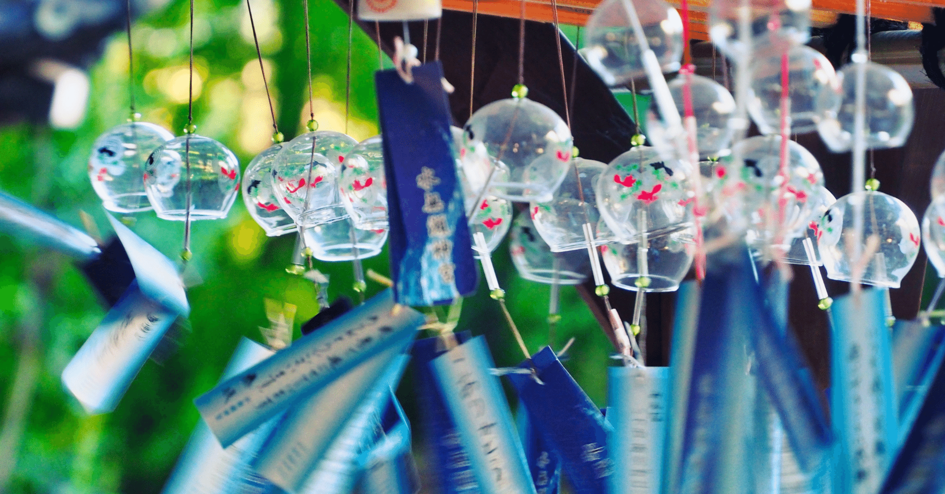 39日目：量子力学で願望実現！（7月9日）｜星の図書係_ヤマシタサラ