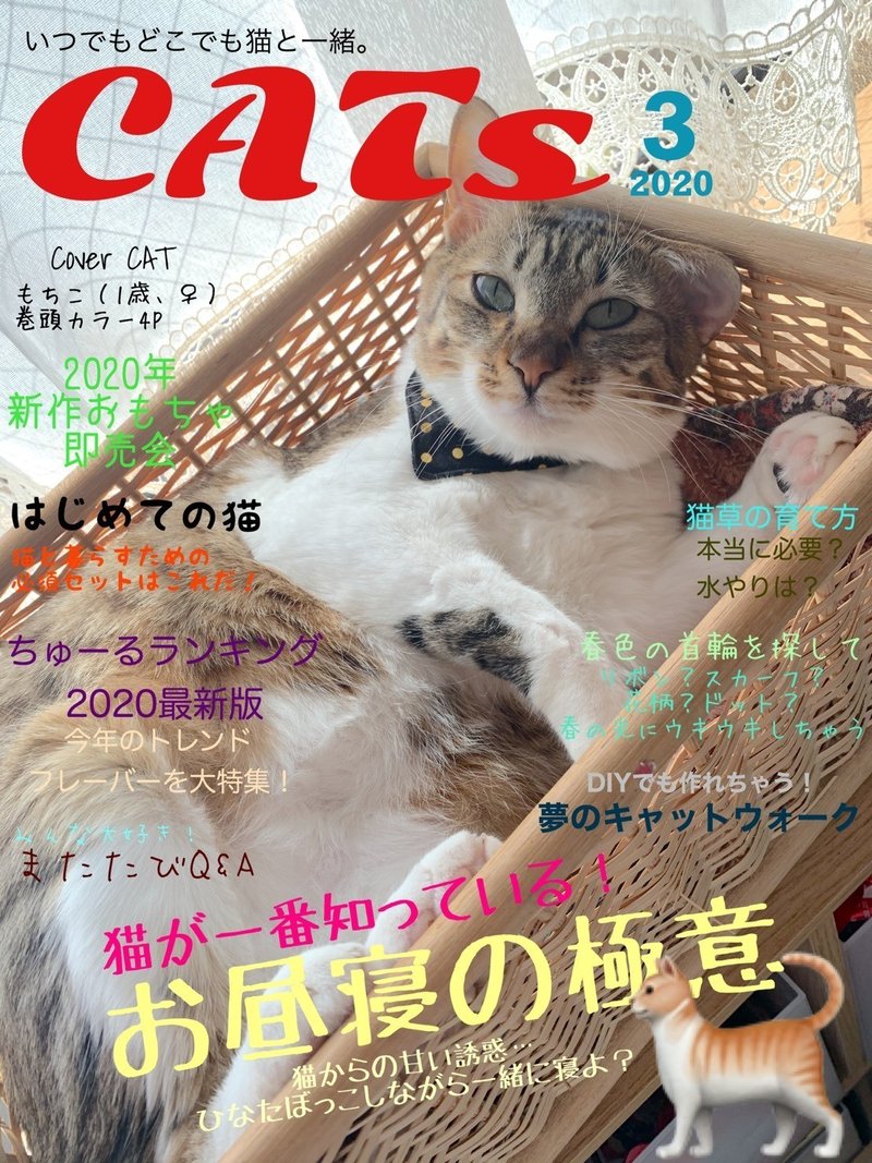 Phonto で猫雑誌の表紙を作ってみた 中村もちこ Note