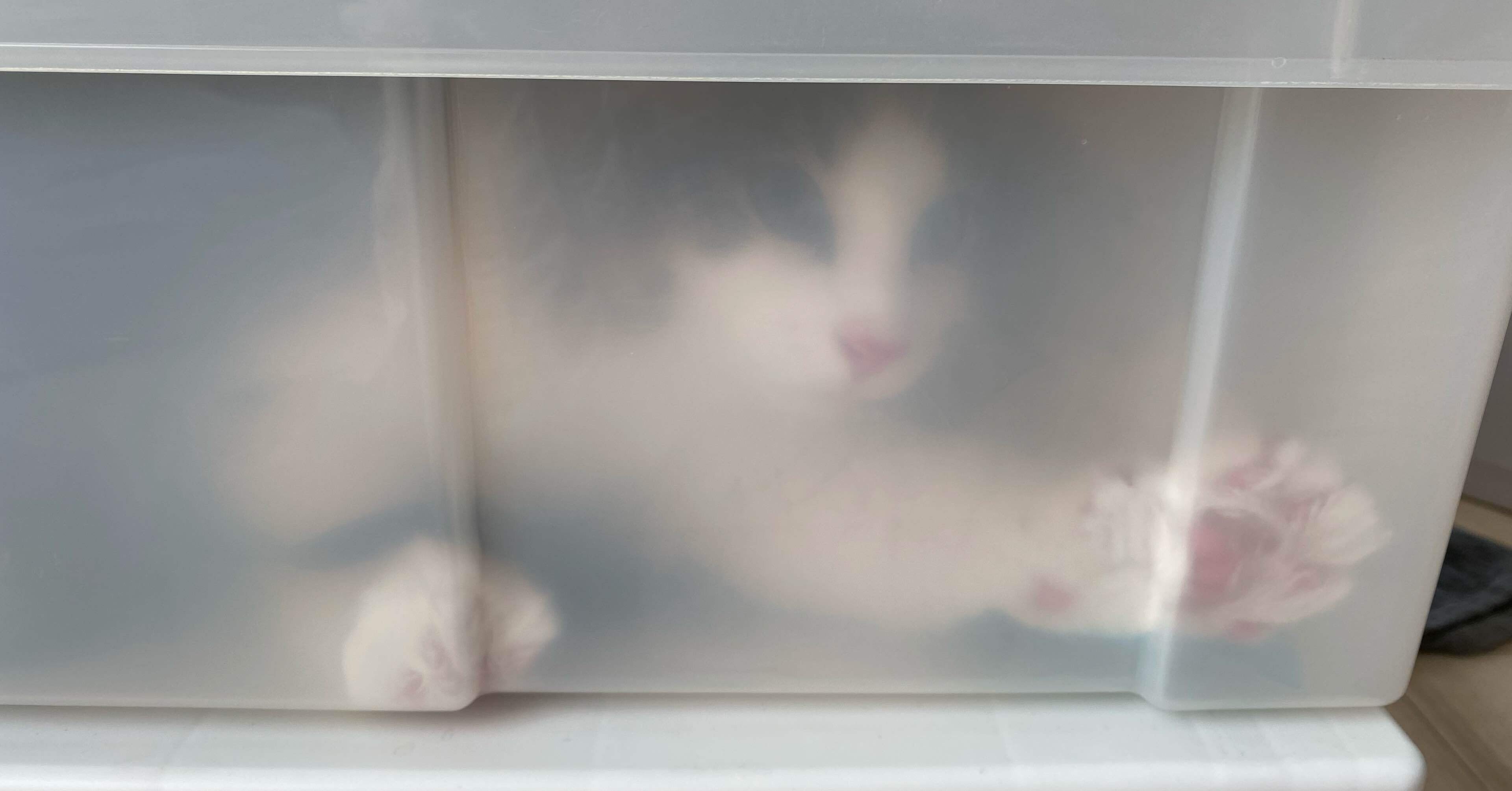 ac765063b5230d1ee4de37cb95eae0