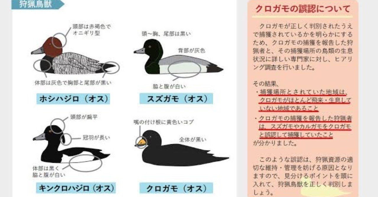 第853回 潜水ガモ 翆野 大地 Note