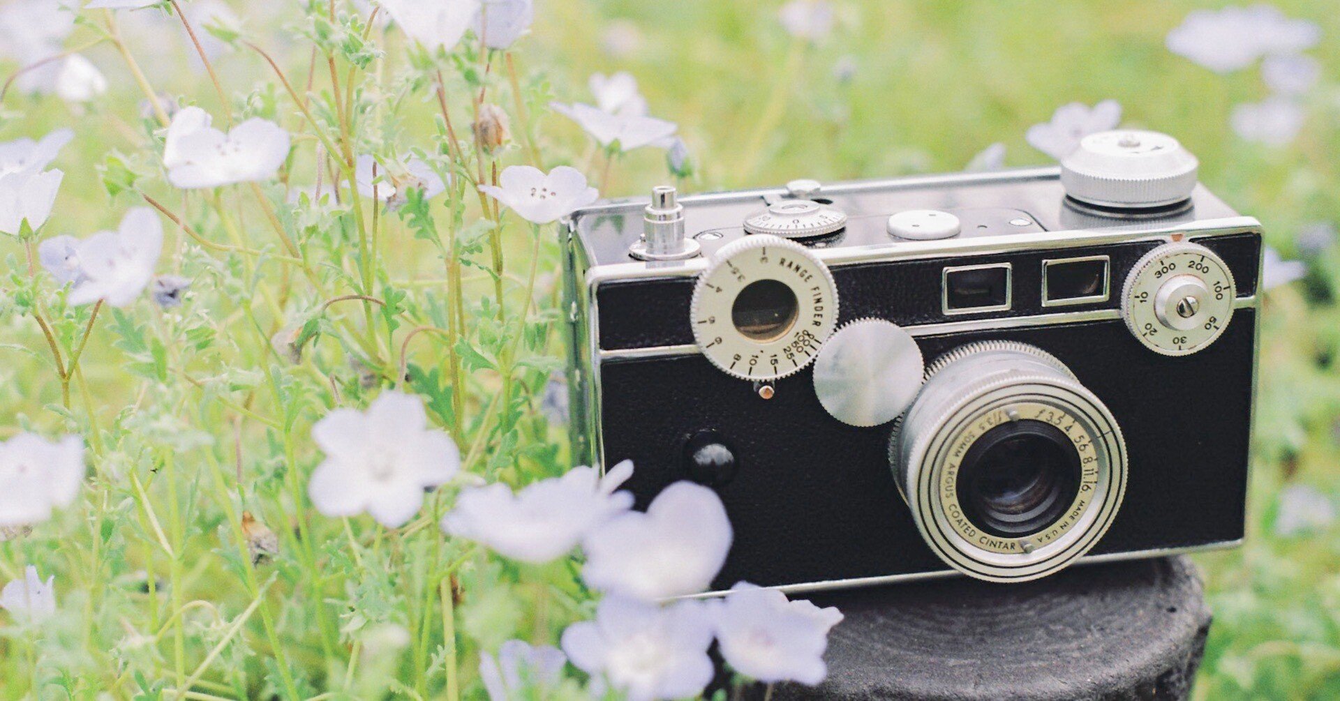 フィルムカメラ Sakuma SAKURA THE COLOR 35mm フィルムカメラ : 佐衛田写真店 - 通販 - Yahoo