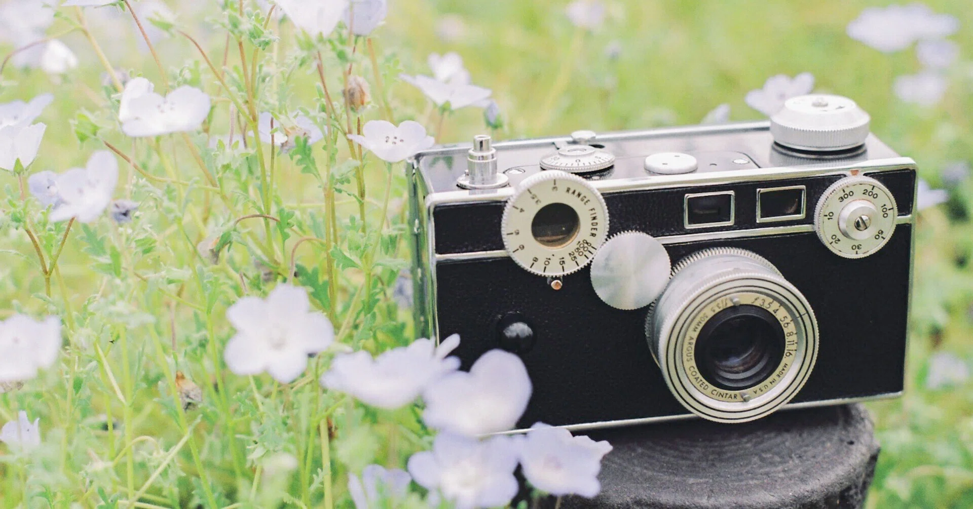 令和にこそフィルムカメラが全盛期の盛り上がりを迎える話。|きキ 令和にこそフィルムカメラが全盛期の盛り上がりを迎える話。|きキ