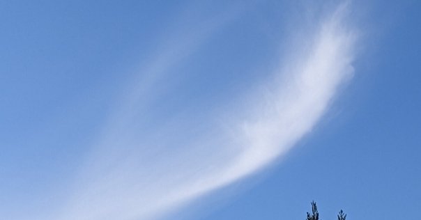 近代経営の解明　占部都美 近代経営の解明 占部都美 近代経営の解明(占部 都美) /