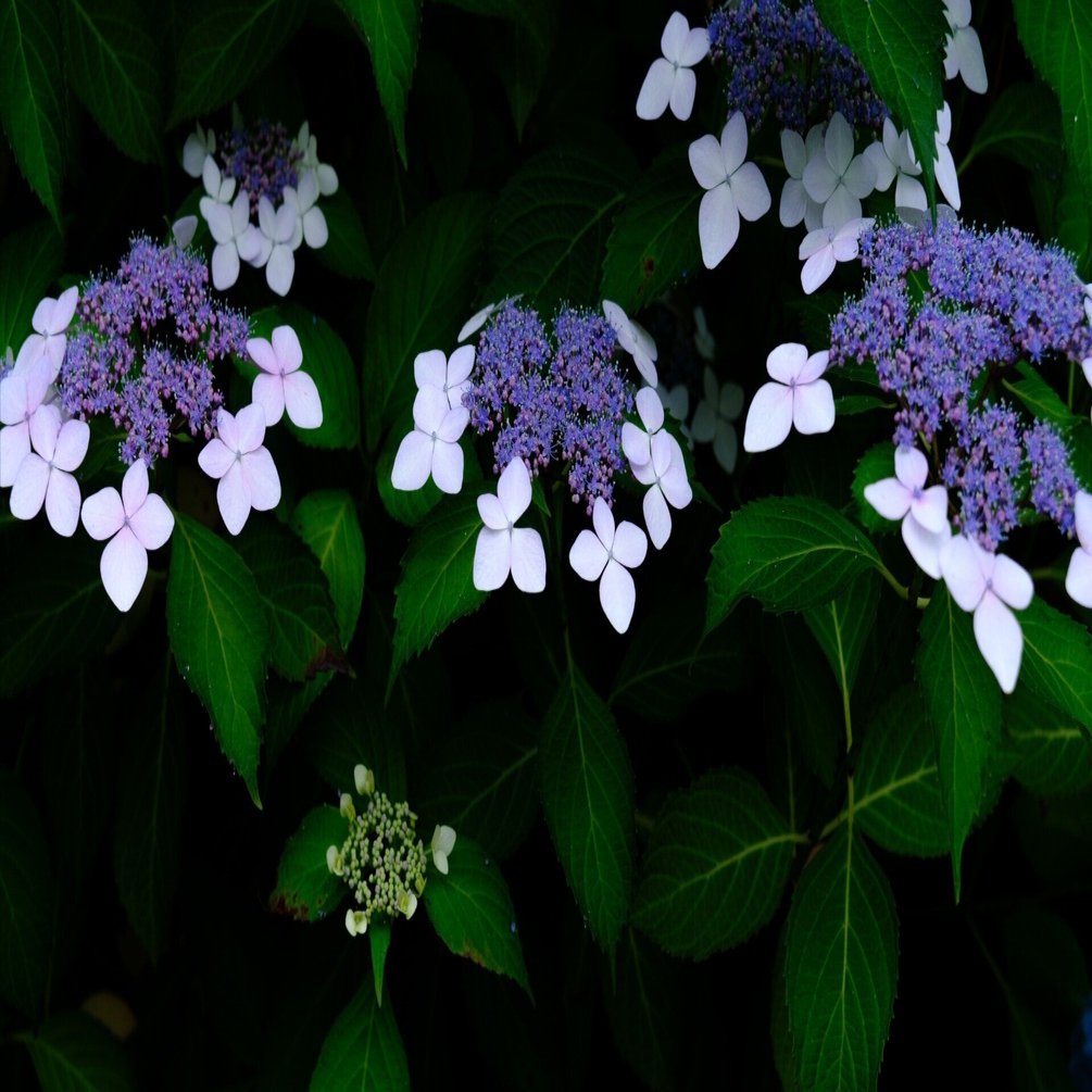 作例有りTD,T70,167MT,L35TW,TF500D,C-AF,EM 500-TX DISTORTION BLACK - TT&CO. ブログ｜ヘルメット専門店TT＆CO