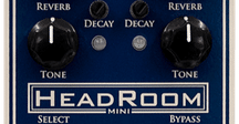Moody Sounds Mushroom Echo V1 アナログディレイ Moody Sounds Mushroom Echo V1 アナログディレイ Moody Sounds
