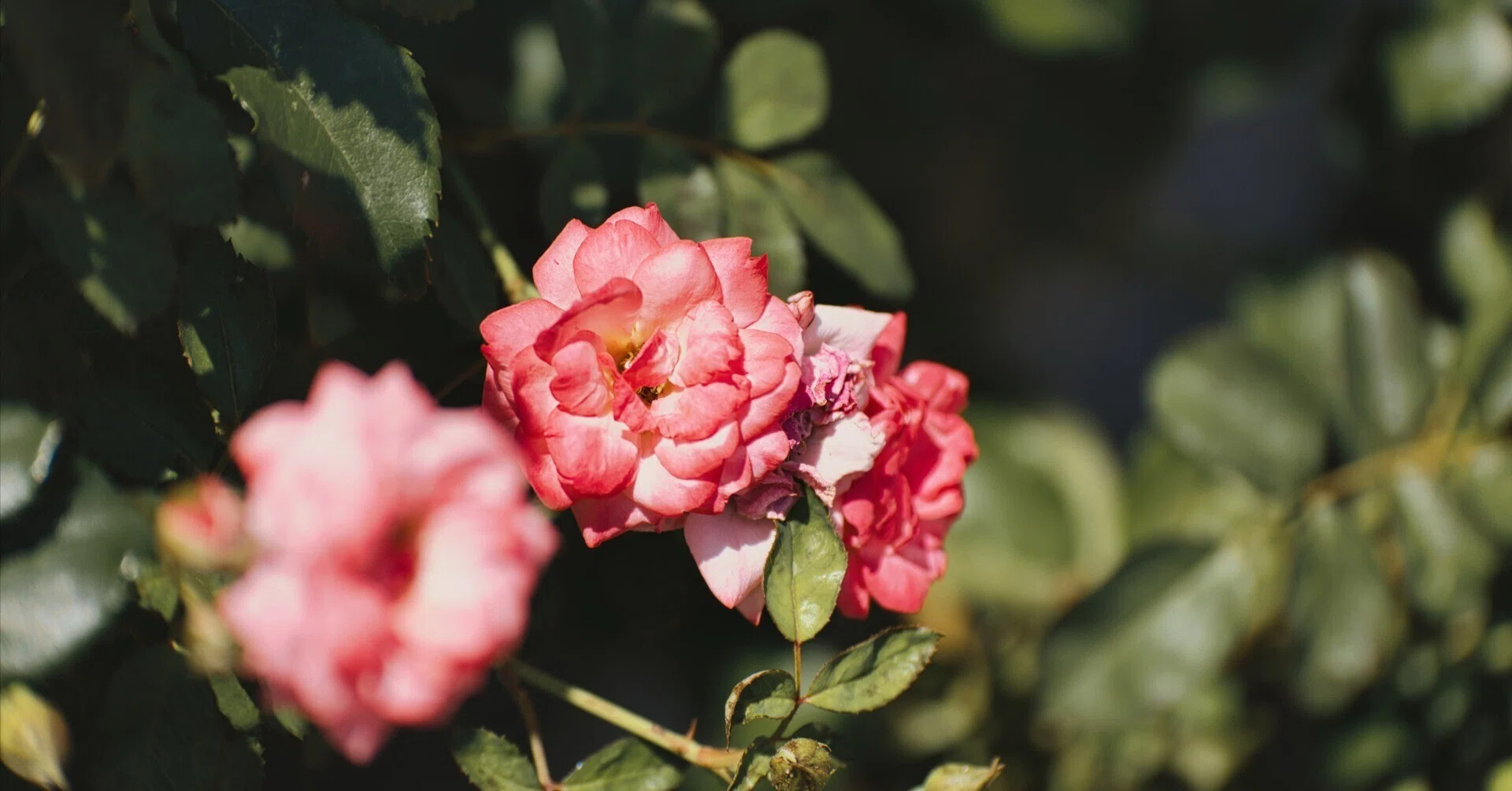 LUMIX G X VARIO 35-100mm/F2.8/POWER O.I.S』横浜へ。[作例あり