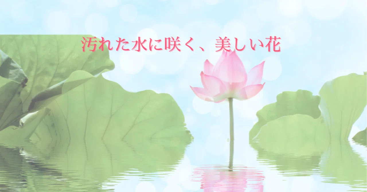 それでも、咲く花がある｜あさみみなこ｜働く人のこころを整える執筆家