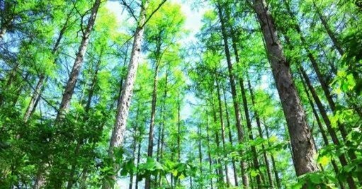 af9451ba17e7fdc475434f962cc2fa