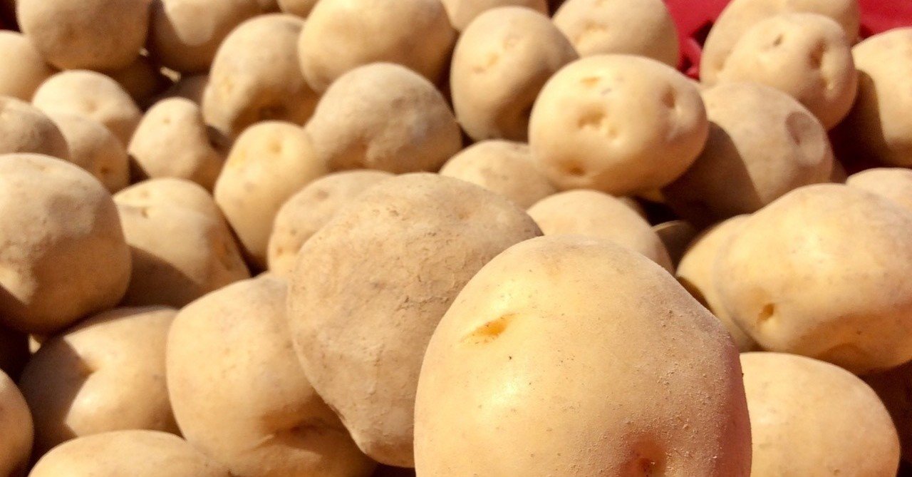 メルカリで野菜売ってみた ナミちゃん 農家 Note